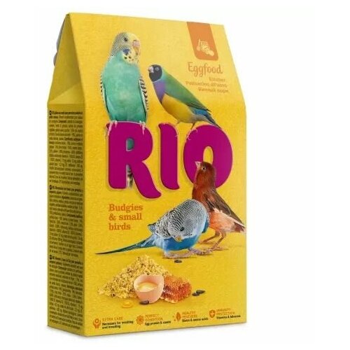  RIO:  ,      , 250 .   -     , -  