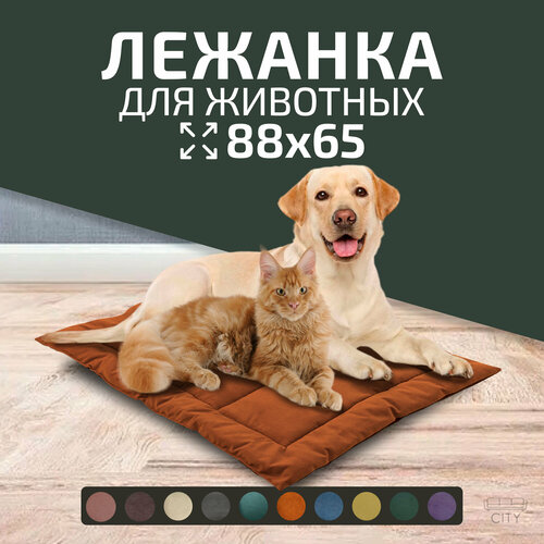 ���� ������� ������� City HD ��� ����� � �����, 88�65�3 ��, ���������, ������ ������