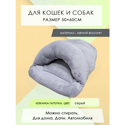 ���� ������� ������� ������� 