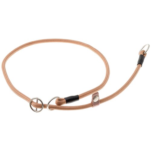 ���� �������� ���� ������� ZooOne (co ��������) � 2-� �������� ������� 6 ��, ����� �������� 70 ��, ������ ��� 70 ��, 1 ��., ����, ������ ������