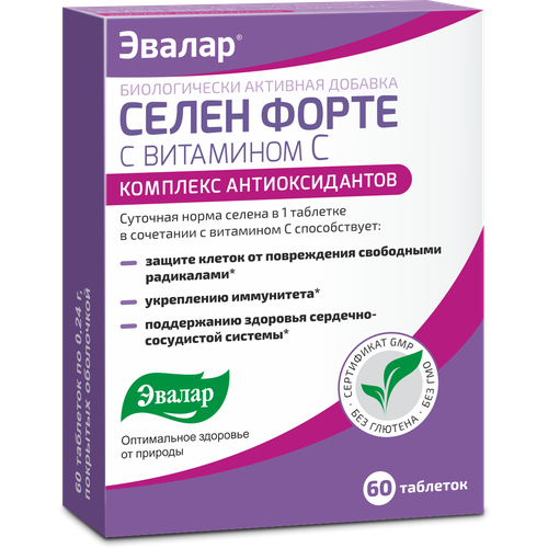 ���� ����� ����� � ��������� C ���., 60 ��., ������ ������