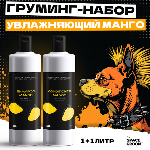 ���� �������� ����� ������� ��� ����� � ����������� ����������� ����� Space Groom ���������� ��������� � ��������������� ��������� ������, 1+1 ����, ������ ������