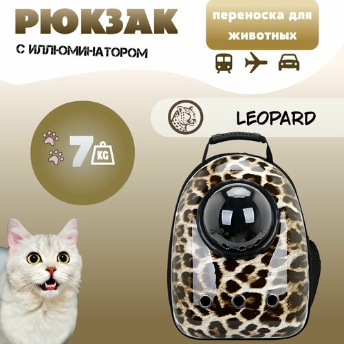 ���� ������-��������� ��� ������ �������� � ������������� / �����������, ������ ������