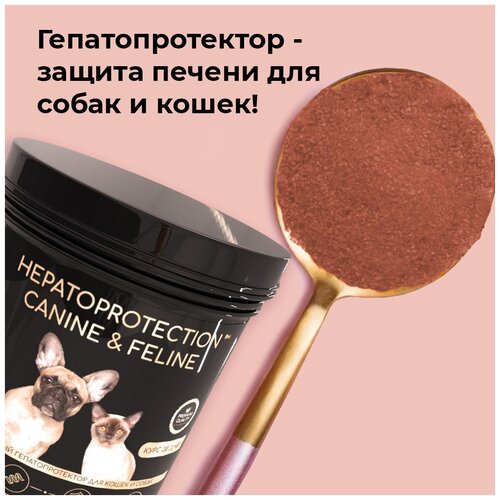    iPet Hepatoprotection    , 30 