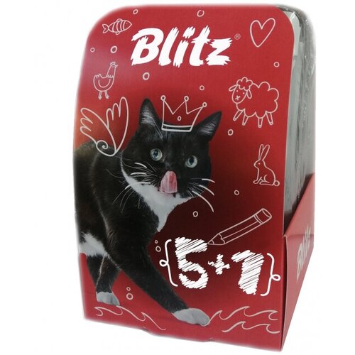  Blitz SEnsitive      5+1 (85 *6)   -     , -,   