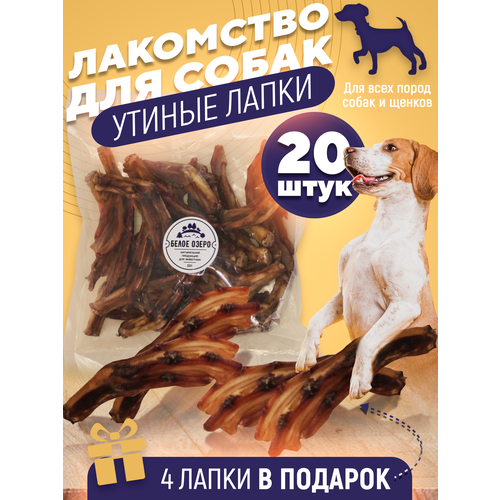 ���� ��������� ��� �����, ������ �����. ���� ������ 20 ���� + 4 � ���������������� ��� �������, ������ ������