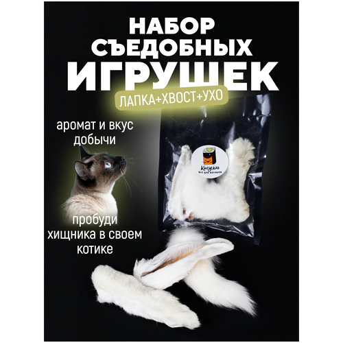 ���� ��������� ������� ��� ����� � ����� ������� ����� ��� ����� � ����� �����/�����/��� �������, ������ ������