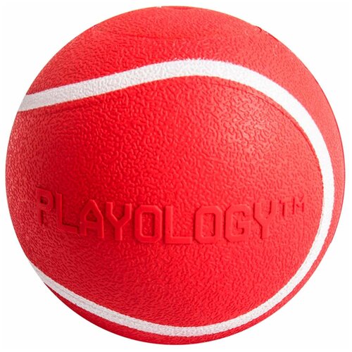  Playology SQUEAKY CHEW BALL              , 8 , 