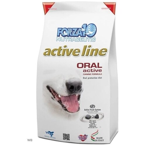      Forza10 Oral Active,      1 .  1 .  4000    -     , -  