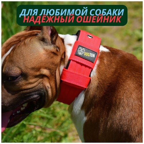 ���� ������� ��� ����� DOGTON. ������� ������� 5.5 ��. �������� ��� �������� � �����������. ������� ���������. ������� ���������., ������ ������