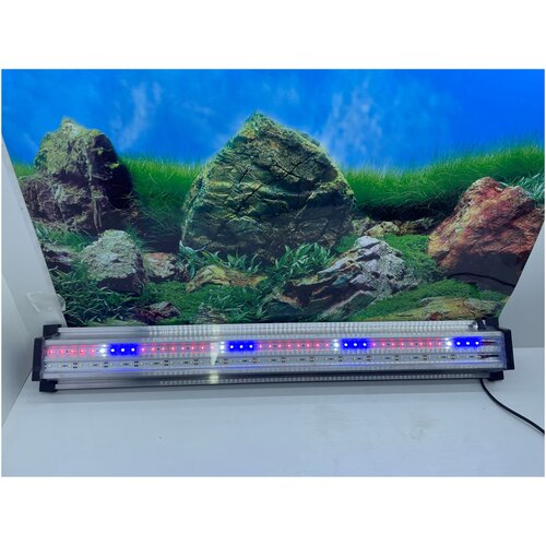     ZelAqua LED + 1100    -     , -  