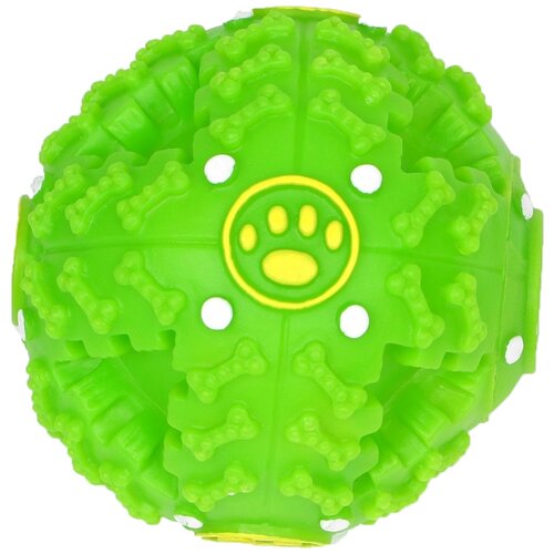 ���� �����   ��� �����  ����� ��������� �������, �������,  �������, ������ ������