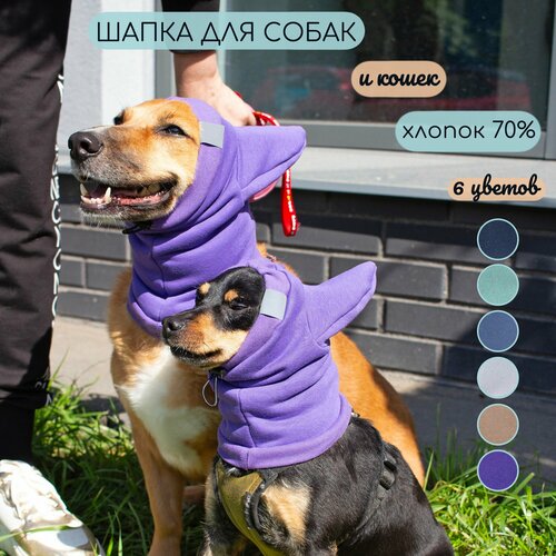 ���� ����� ����� � ��������������� ����� ��� ����� � �����, ������ ������