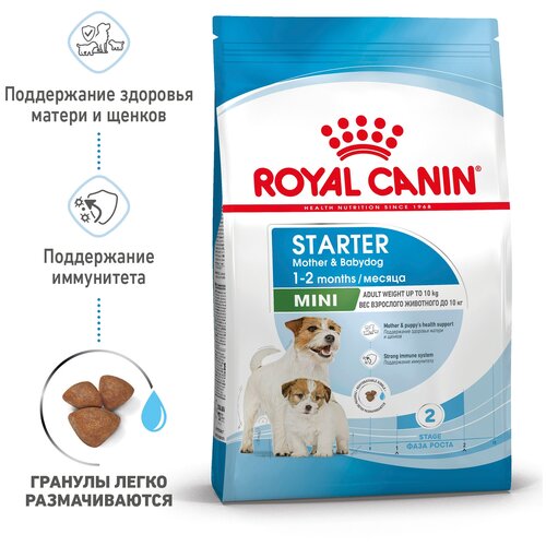      Royal Canin MINI STARTER MOTHER & BABYDOG (    )        2- ;            3    -     , -,   