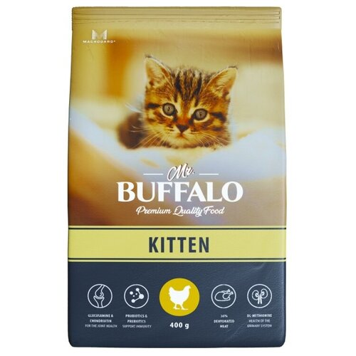   Mr.Buffalo Kitten 0,4  2         -     , -,   