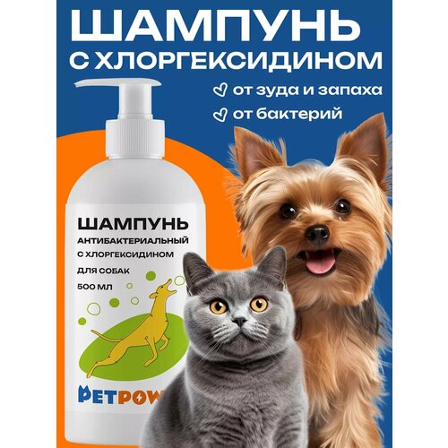 ���� ������� � �������������� ��� �����, ������ ������