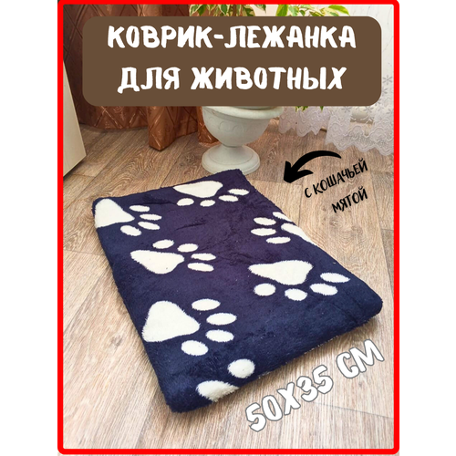 ���� �������-������ ��������� ��� �������� 