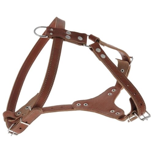 ���� ������ ����� �������� (�2�) ���������, XL, ������ ������