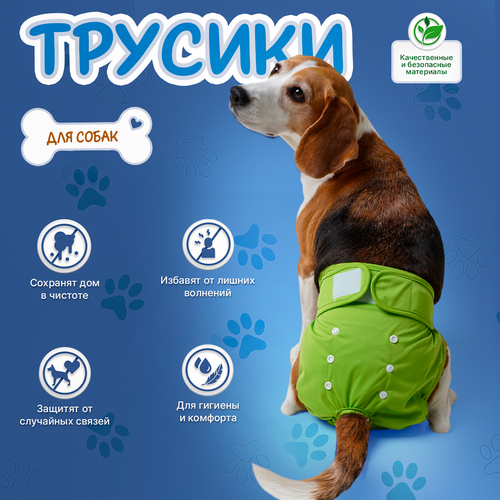 ���� ����� ��� ������ �� ����� ����� ������������ M, ���������� ��� ����� ����������� ����� �����������, ������ ������