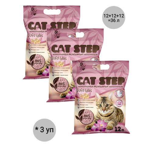    Cat Step Tofu Lotus, 12, 3 .   -     , -  