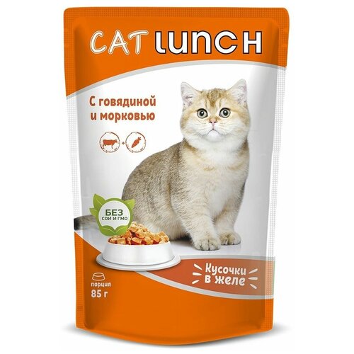  CAT LUNCH          (85   24 )