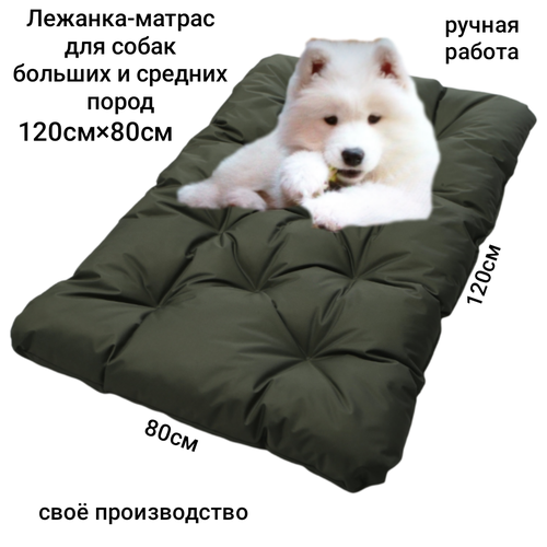 ���� �������-������ ��� ������� � ������� �����, ������ ������