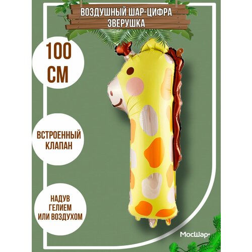 ���� �������������� ���-����� 1 ��������, ������ �� �����, ������ ������