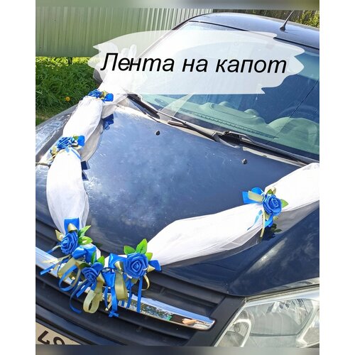 ���� ����� ��������� �� ������. ��������� �� ��������� ����������., ������ ������