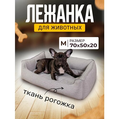 ���� ������� ��� ����� � ����� ������� � ��������� � ��������, ������ ������