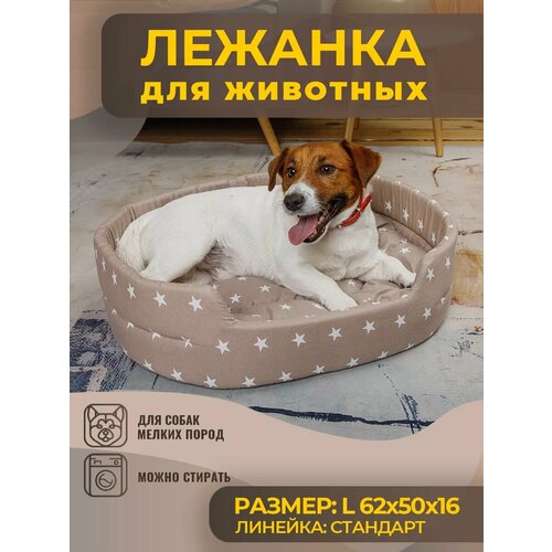 ���� ����� ��� ����� � ����� ������� �����, ����, ������ ������