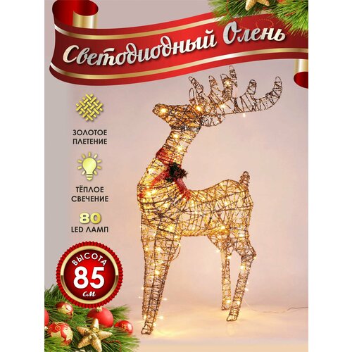 ���� ����� ���������� ������������ ���������� 80 �� �������, ������ ������