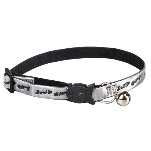 ���� ������� ����� �� ��������������� ��������� ����� �����������, ������ ������