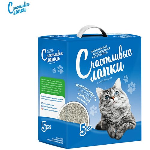 ���� ����������� ���������� ����� ����������� ������������ (5 ��), ������ ������