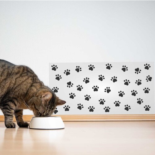 ���� �������� ������������� ������ / ������ ��� ������������� ���� � ���� �� ����� ��������� ��� ������� 