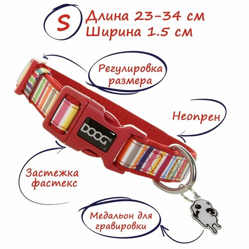 ���� ��� ����������� ������������� ������� DOOG �����������, ������ ��� 23-34 ��, �������, S, ������ ������