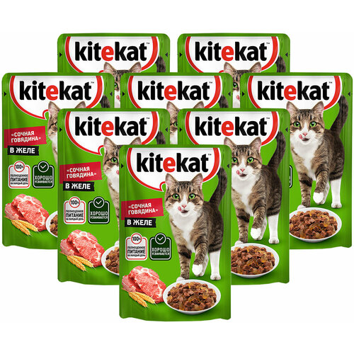  KITEKAT         (85   8 )   -     , -  