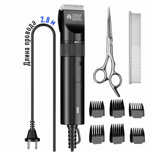 ���� ������� ��� ������� �������� ���������/������� ��� ������� ����� / ������� ��� ������� �����, ������ ������