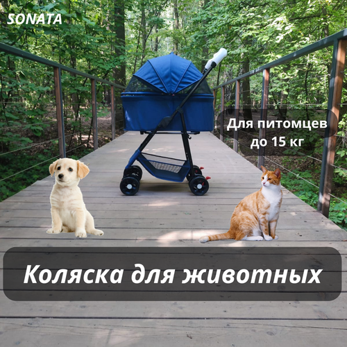 ���� ������� ��� ����� � ����� �� ������� ���������� �����, ������ ������