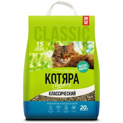 ���� ������ ����������� ����������� ������������, 20�, ������ ������