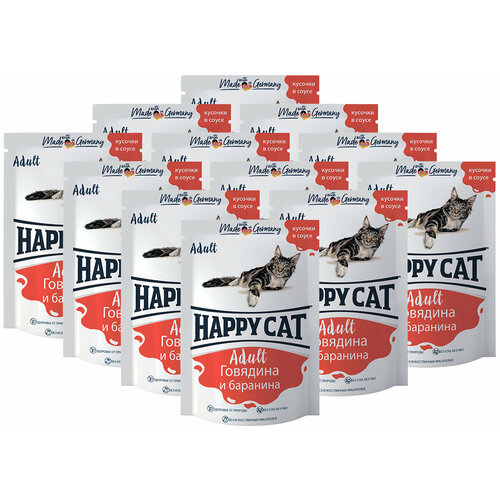  HAPPY CAT           100  7502314 100   12    -     , -  