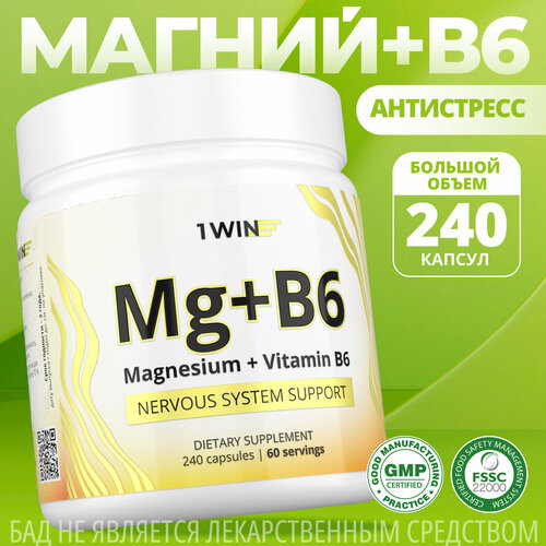  1WIN     6 ( 6),       , Magnesium Citrate, 240    -     , -  