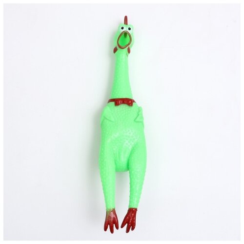 ���� �������   ��� �����  ����� ���������� ������ XL,  �������, 1��., ������ ������