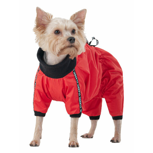 ���� ������� ����� 24! ���������� ��� ����� DogModa ������� ��� ������� (������� ������) �� ����, ���� �������, �.3, ������ ������