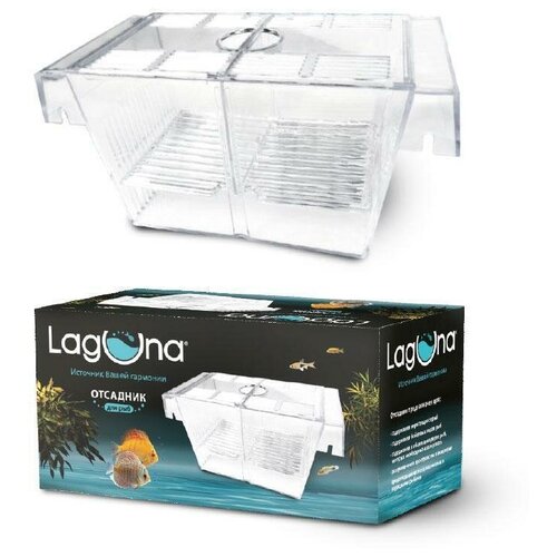   Laguna 0501LF, , 20?10?10    -     , -,   