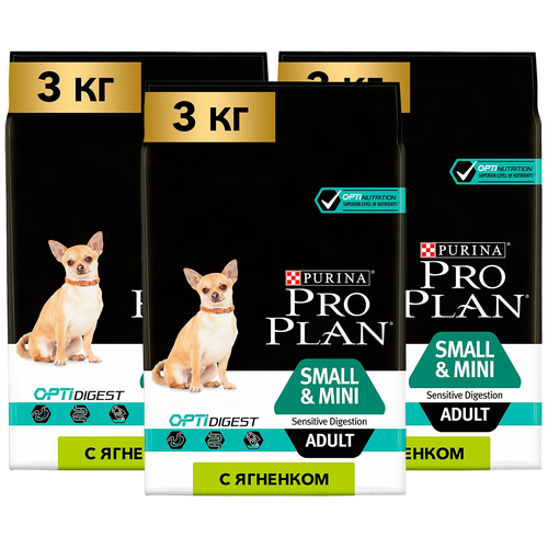      Pro Plan   ,  1 .  3 .  3000  (  ),  