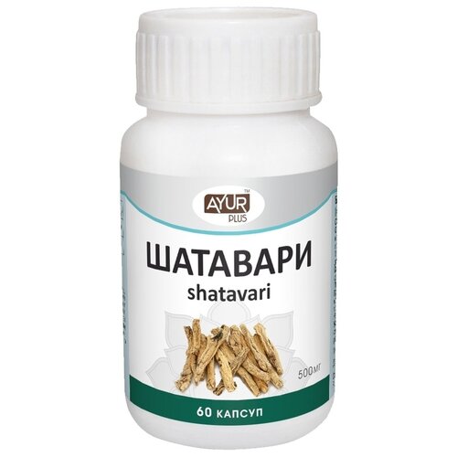 ���� ��������, 60 ������, ������ ������