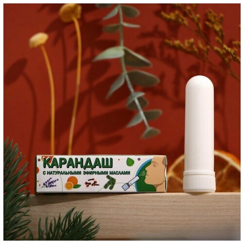 ���� ��������-��������� �� �������� � ����� � ����������, ������ ������