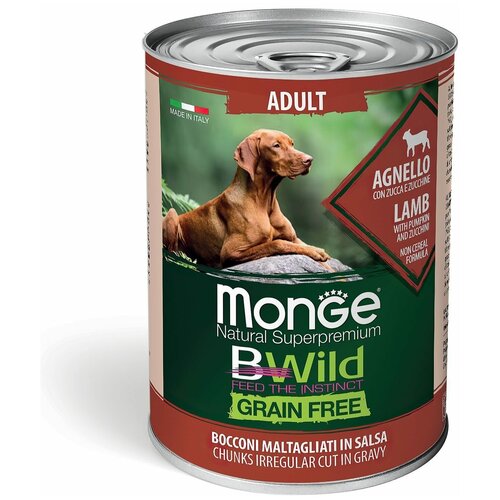    MONGE Dog BWild GRAIN FREE             400   -     , -,   