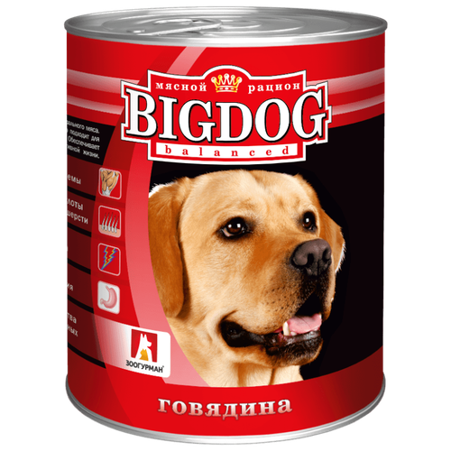      BIG DOG  (0249) 0,85  18944 (2 )   -     , -,   