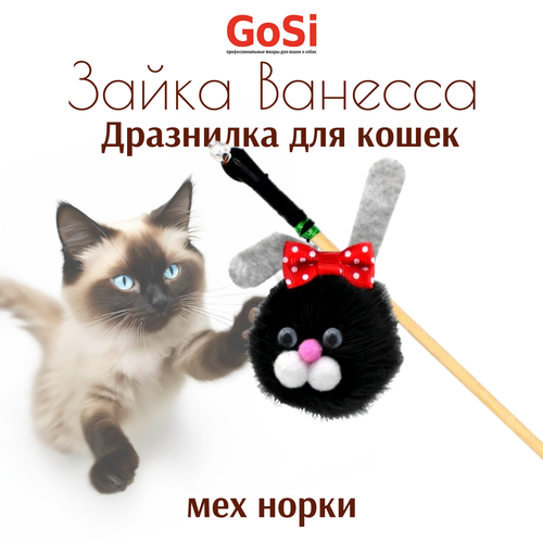 ���� ������� ��� ����� GOSI ��������� 